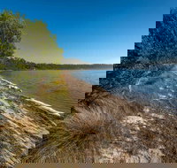 Jewfish Walk - Southport Accommodation