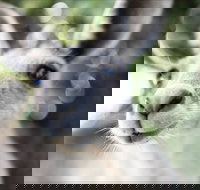 John Egan Pioneer Track - Southport Accommodation