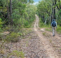 Kangaroo River Walking Track - Southport Accommodation