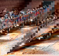 Lark Quarry Conservation Park - Southport Accommodation