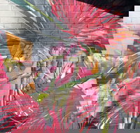 Mokoan Rest Stop Northbound - Accommodation Southport