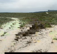 Ngarkat Conservation Park - Southport Accommodation