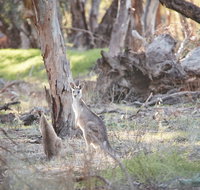 Nyah Vinifera Park - Southport Accommodation