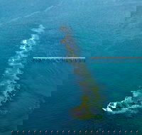 Port Noarlunga Reef Sanctuary Zone - Encounter Marine Park - Accommodation Southport