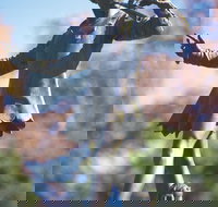 Queens Gardens - Southport Accommodation