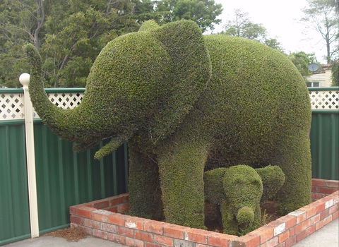 Railton: Town Of Topiary - Southport Accommodation 0