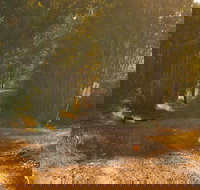 Raysource Road - Southport Accommodation