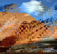 Red Banks Conservation Park - Southport Accommodation