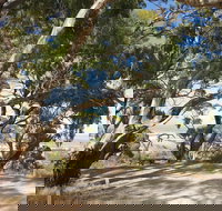 Spring Gully Conservation Park - Southport Accommodation