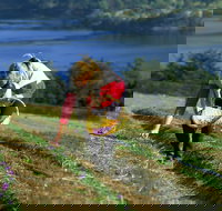 Tas-Saff - Accommodation Southport