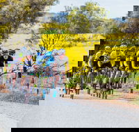 The Heron's Highway - Avon River Cycle Trail - Accommodation Southport