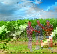 The Shed Gallery - Southport Accommodation