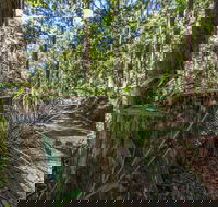 Thylogale Track - Accommodation Southport