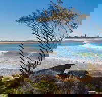 Wooli to Red Rock Walk - Southport Accommodation