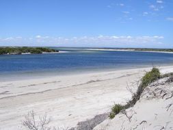 Book Smoky Bay SA Attractions Southport Accommodation Southport Accommodation
