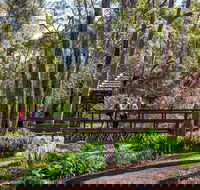 Armadale - Accommodation Southport