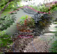 Black Dragon Gardens Wulong Yuan - Southport Accommodation