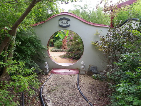 Black Dragon Gardens Wulong Yuan - Southport Accommodation 0