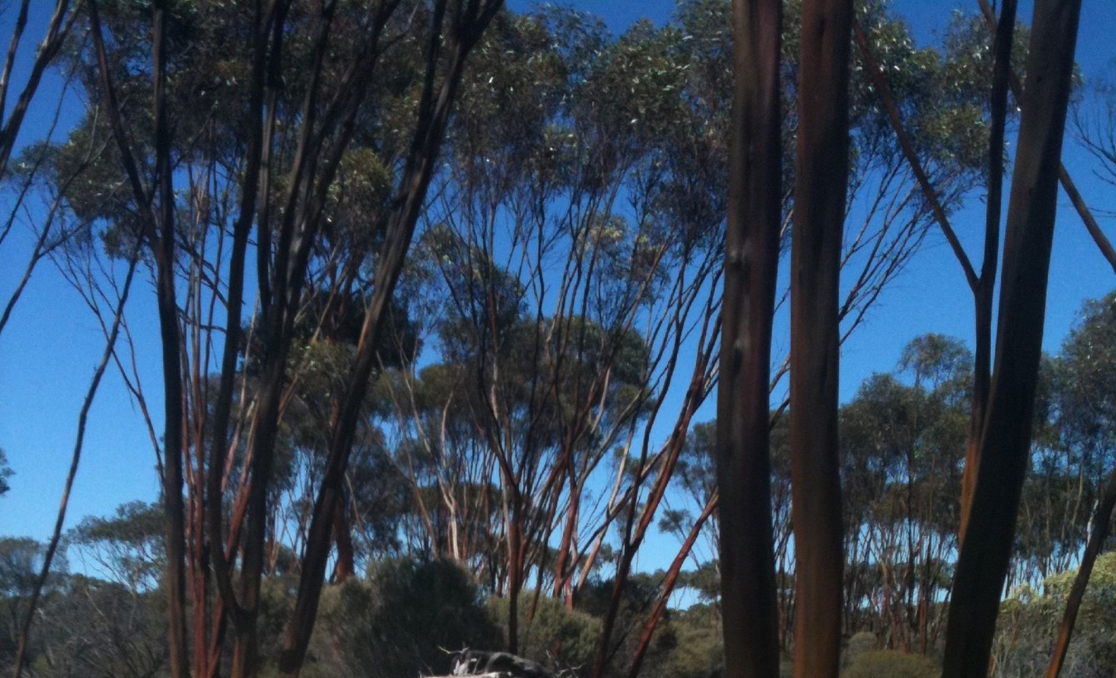 Boorabbin WA Accommodation Southport