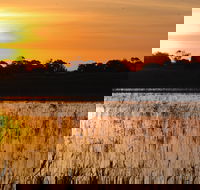 Bool Lagoon Game Reserve and Hacks Lagoon Conservation Park - Southport Accommodation