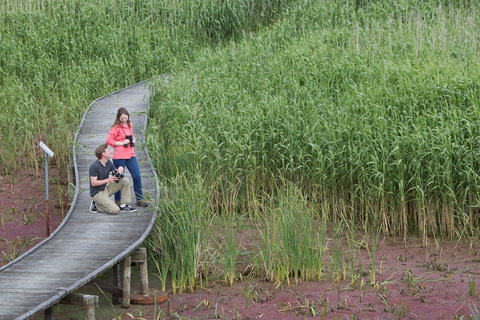 Bool Lagoon Game Reserve And Hacks Lagoon Conservation Park - Accommodation Southport 2