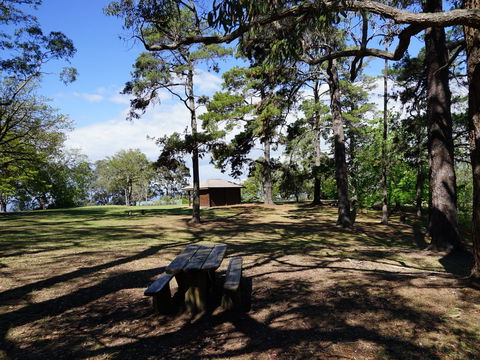 Bowen Mountain Park - Southport Accommodation 0