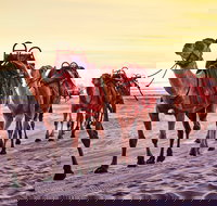 Broome and the Kimberley Coast - Accommodation Southport