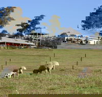 Calmsley Hill City Farm - Southport Accommodation