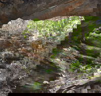 Cave Creek Walking Track - Southport Accommodation