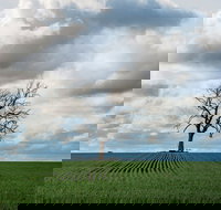 Clare Valley - Accommodation Southport