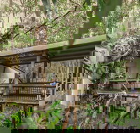 Daisy Hill Koala Centre - Southport Accommodation