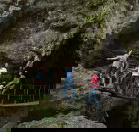 Day trips from Rockhampton - Southport Accommodation