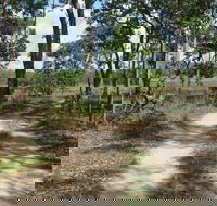 Djukbinj National Park - Southport Accommodation