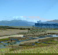 Eubenangee Swamp National Park - Southport Accommodation