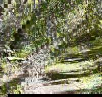 Euglah Rock Walking Track - Accommodation Southport