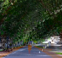 Fig Tree Avenue - Southport Accommodation