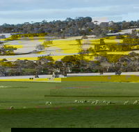 Fini Olives - Southport Accommodation