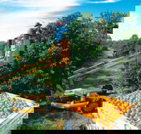 Gayndah's Big Orange - Southport Accommodation