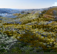 Gold Coast Hinterland Great Walk - Accommodation Southport