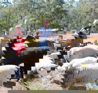 Haigslea EWE Nique Hobby Farm - Southport Accommodation