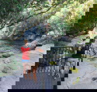 Josephine Falls walking track Wooroonooran National Park - Southport Accommodation