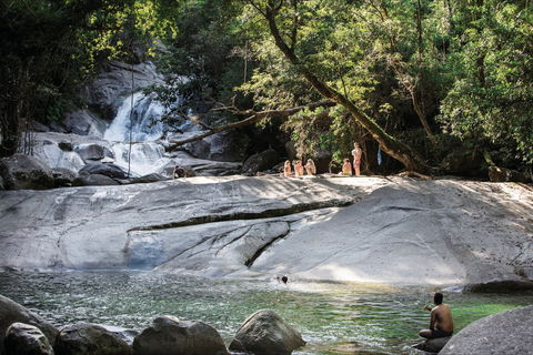 Josephine Falls Walking Track, Wooroonooran National Park - Southport Accommodation 1
