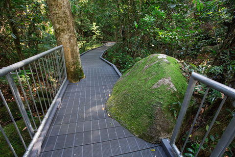 Josephine Falls Walking Track, Wooroonooran National Park - Southport Accommodation 2