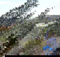 Kinchina Conservation Park - Southport Accommodation