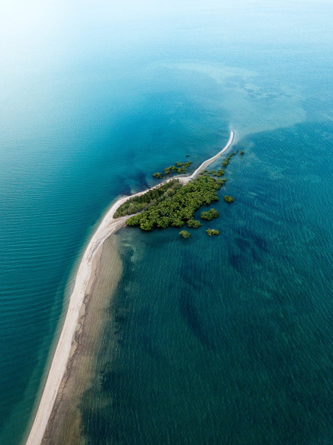 King Island Walk - Accommodation Southport 1