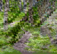 Mount Canobolas State Conservation Area