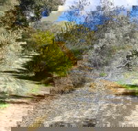 Naracoorte North Nature Park - Southport Accommodation