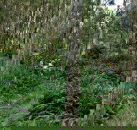 Nature Walking Track