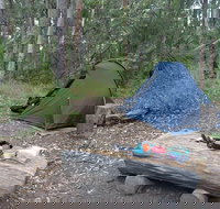 Northbrook Mountain Bush Camp - Southport Accommodation