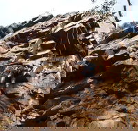 Rock Climbing in Morialta - Southport Accommodation